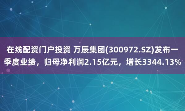 在线配资门户投资 万辰集团(300972.SZ)发布一季度业绩，归母净利润2.15亿元，增长3344.13%