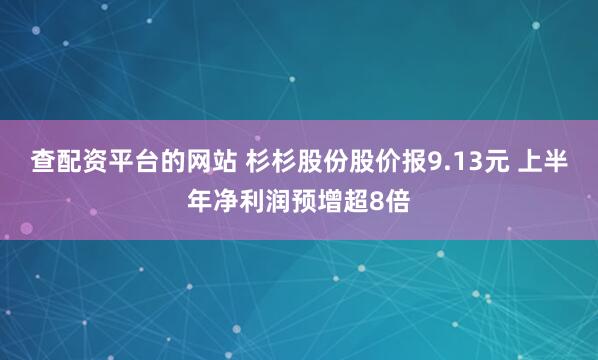 查配资平台的网站 杉杉股份股价报9.13元 上半年净利润预增超8倍