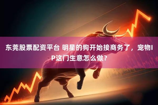 东莞股票配资平台 明星的狗开始接商务了，宠物IP这门生意怎么做？